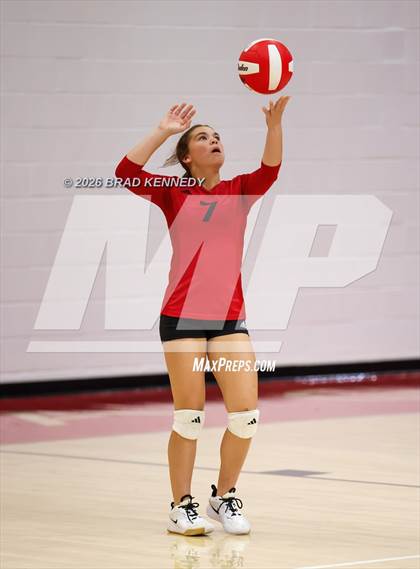 Thumbnail 2 in JV: Pine Tree @ Carthage photogallery.