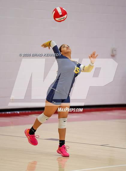 Thumbnail 3 in JV: Pine Tree @ Carthage photogallery.