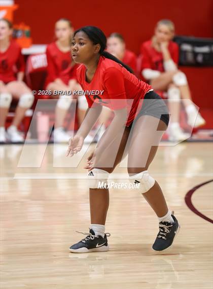 Thumbnail 1 in JV: Pine Tree @ Carthage photogallery.