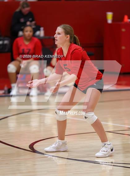 Thumbnail 2 in JV: Pine Tree @ Carthage photogallery.