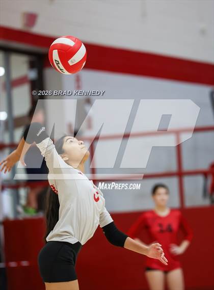 Thumbnail 3 in JV: Pine Tree @ Carthage photogallery.