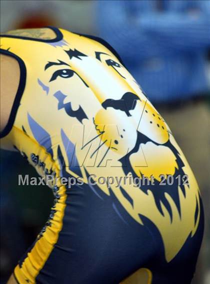 Thumbnail 2 in 2012 NYSPHSAA Boys Wrestling Championships (D2 - 3rd & 4th Place Consolation) photogallery.