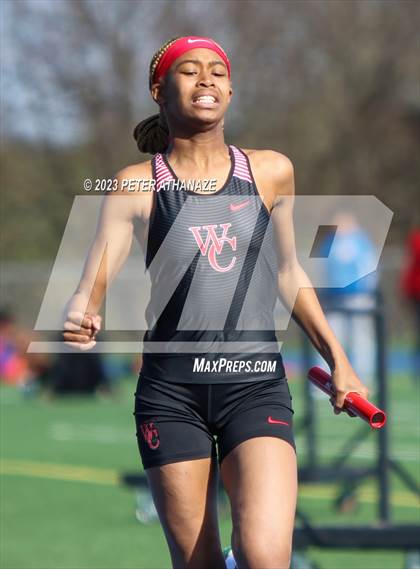 Thumbnail 3 in Wilbur Cross @ Bloomfield photogallery.