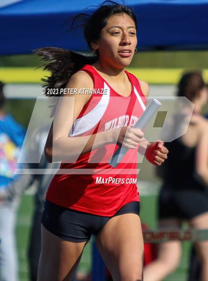 Thumbnail 3 in Wilbur Cross @ Bloomfield photogallery.