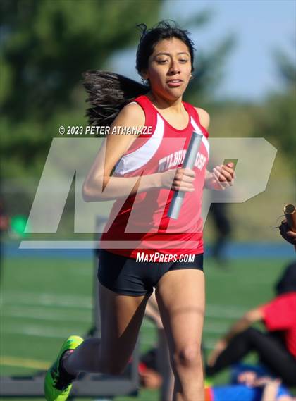 Thumbnail 2 in Wilbur Cross @ Bloomfield photogallery.