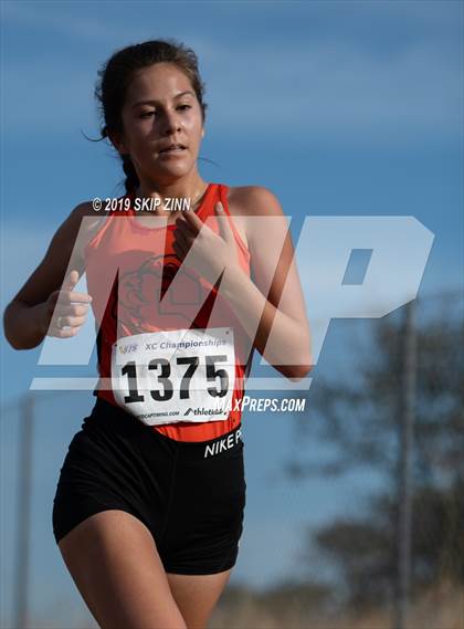 Thumbnail 1 in CIF Sac-Joaquin Section Cross Country Championships (D4&5 Girls) photogallery.