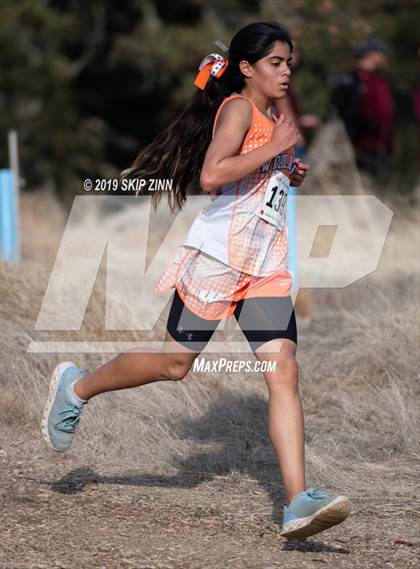 Thumbnail 2 in CIF Sac-Joaquin Section Cross Country Championships (D4&5 Girls) photogallery.