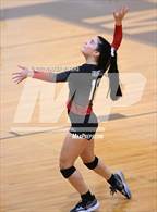 Photo from the gallery "Fontainebleau @ Mt. Carmel"