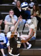 Photo from the gallery "Fontainebleau @ Mt. Carmel"