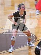 Photo from the gallery "Fontainebleau @ Mt. Carmel"