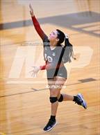 Photo from the gallery "Fontainebleau @ Mt. Carmel"