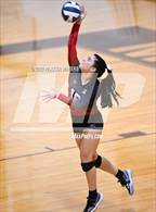 Photo from the gallery "Fontainebleau @ Mt. Carmel"