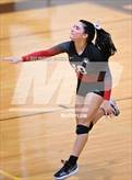 Photo from the gallery "Fontainebleau @ Mt. Carmel"