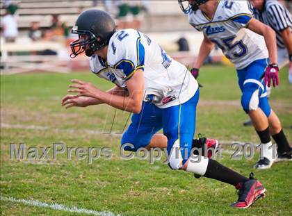Thumbnail 3 in Lincoln @ Placer photogallery.