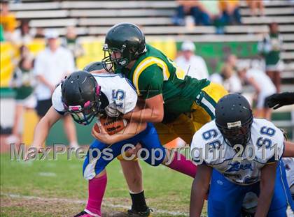 Thumbnail 3 in Lincoln @ Placer photogallery.