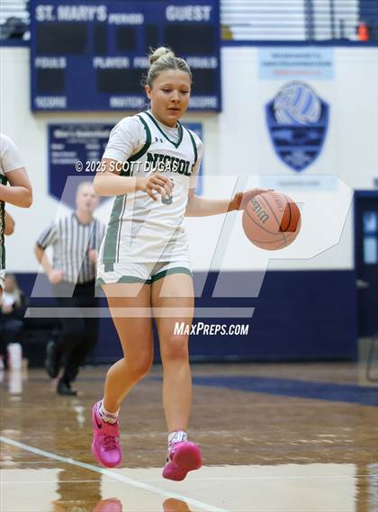 Thumbnail 3 in Niagara Falls @ Nichols photogallery.