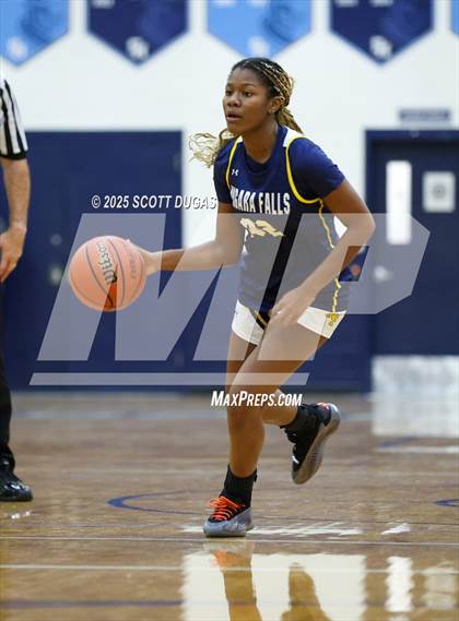 Thumbnail 3 in Niagara Falls @ Nichols photogallery.