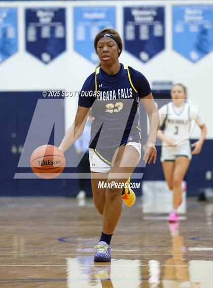 Thumbnail 3 in Niagara Falls @ Nichols photogallery.