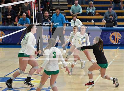 Thumbnail 2 in Archie Williams @ Buckley (CIF D3 State Final) photogallery.