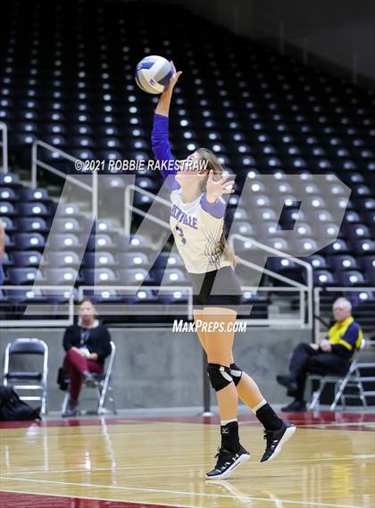 Thumbnail 3 in Beckville vs. Crawford (UIL Volleyball 2A Semifinals) photogallery.