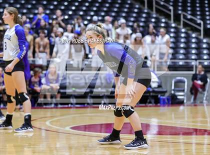Thumbnail 1 in Beckville vs. Crawford (UIL Volleyball 2A Semifinals) photogallery.