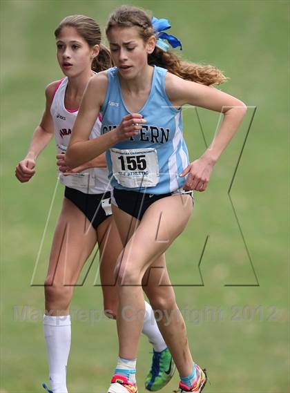 Thumbnail 2 in NYSPHSAA Cross Country Championships (Girls Class A) photogallery.