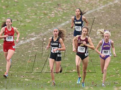 Thumbnail 1 in NYSPHSAA Cross Country Championships (Girls Class A) photogallery.