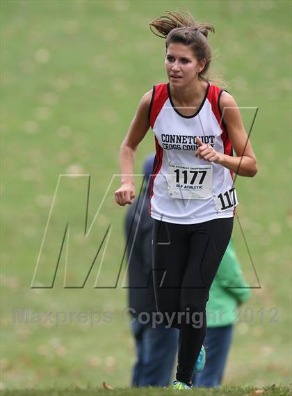 Thumbnail 3 in NYSPHSAA Cross Country Championships (Girls Class A) photogallery.