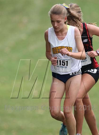 Thumbnail 1 in NYSPHSAA Cross Country Championships (Girls Class A) photogallery.