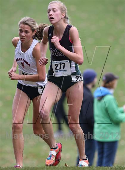 Thumbnail 1 in NYSPHSAA Cross Country Championships (Girls Class A) photogallery.