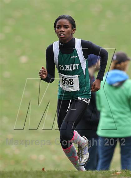 Thumbnail 2 in NYSPHSAA Cross Country Championships (Girls Class A) photogallery.