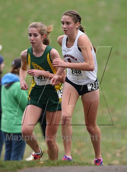 Thumbnail 1 in NYSPHSAA Cross Country Championships (Girls Class A) photogallery.