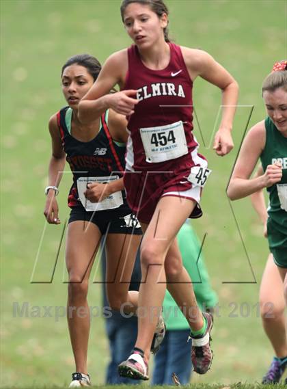 Thumbnail 1 in NYSPHSAA Cross Country Championships (Girls Class A) photogallery.