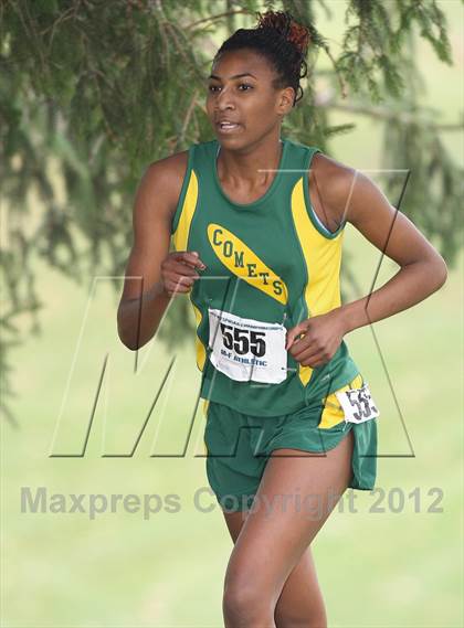 Thumbnail 1 in NYSPHSAA Cross Country Championships (Girls Class A) photogallery.