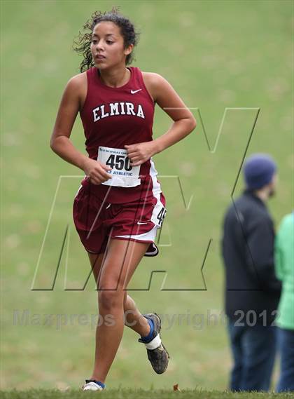 Thumbnail 2 in NYSPHSAA Cross Country Championships (Girls Class A) photogallery.
