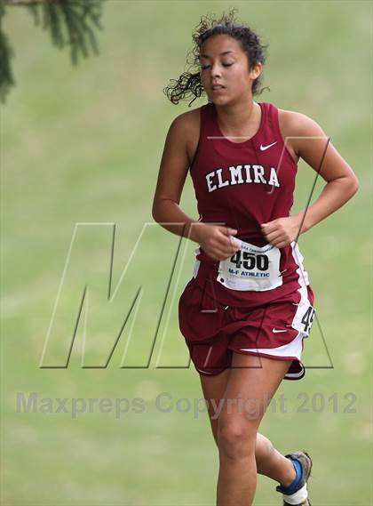 Thumbnail 1 in NYSPHSAA Cross Country Championships (Girls Class A) photogallery.