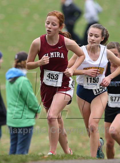 Thumbnail 3 in NYSPHSAA Cross Country Championships (Girls Class A) photogallery.