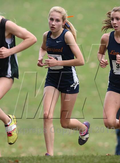 Thumbnail 2 in NYSPHSAA Cross Country Championships (Girls Class A) photogallery.