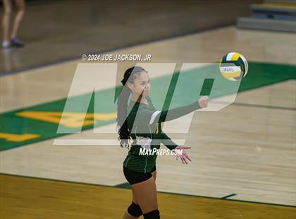 Thumbnail 1 in Santa Rita vs St Augustine photogallery.