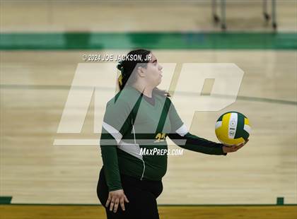 Thumbnail 3 in Santa Rita vs St Augustine photogallery.