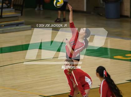Thumbnail 1 in Santa Rita vs St Augustine photogallery.