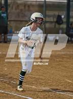 Photo from the gallery "Venice @ Lakewood Ranch"