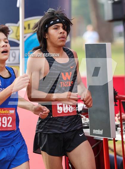 Thumbnail 3 in CIF Central Section Cross Country Championships (Boys D3 Race) photogallery.