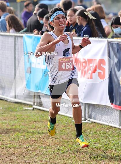 Thumbnail 1 in CIF Central Section Cross Country Championships (Boys D3 Race) photogallery.