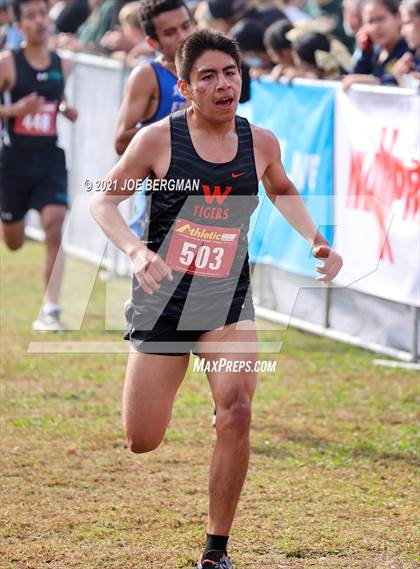 Thumbnail 1 in CIF Central Section Cross Country Championships (Boys D3 Race) photogallery.