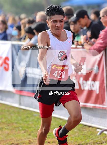 Thumbnail 3 in CIF Central Section Cross Country Championships (Boys D3 Race) photogallery.