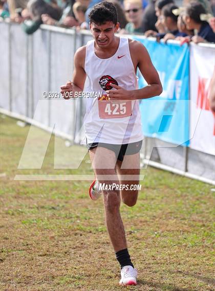 Thumbnail 1 in CIF Central Section Cross Country Championships (Boys D3 Race) photogallery.