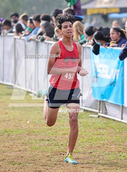 Thumbnail 1 in CIF Central Section Cross Country Championships (Boys D3 Race) photogallery.