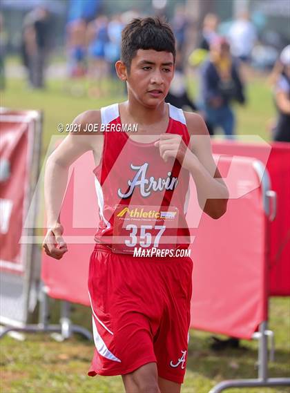Thumbnail 2 in CIF Central Section Cross Country Championships (Boys D3 Race) photogallery.