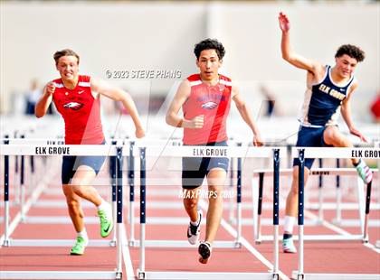 Thumbnail 1 in Herd Roundup @ Elk Boys Hurdles photogallery.